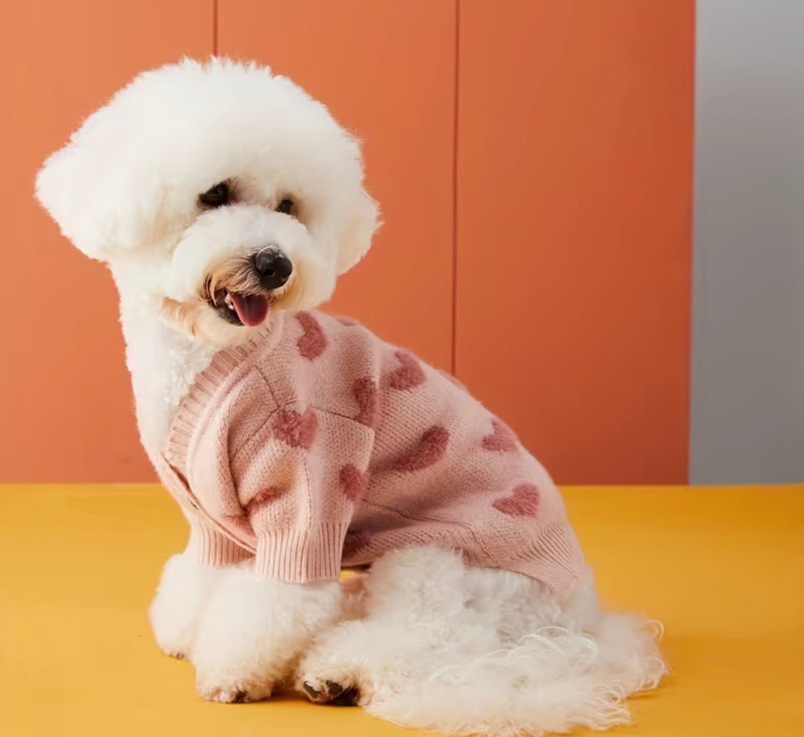 Un Pull Douillet Pour Chien et Chats Joli Motif de Cœur