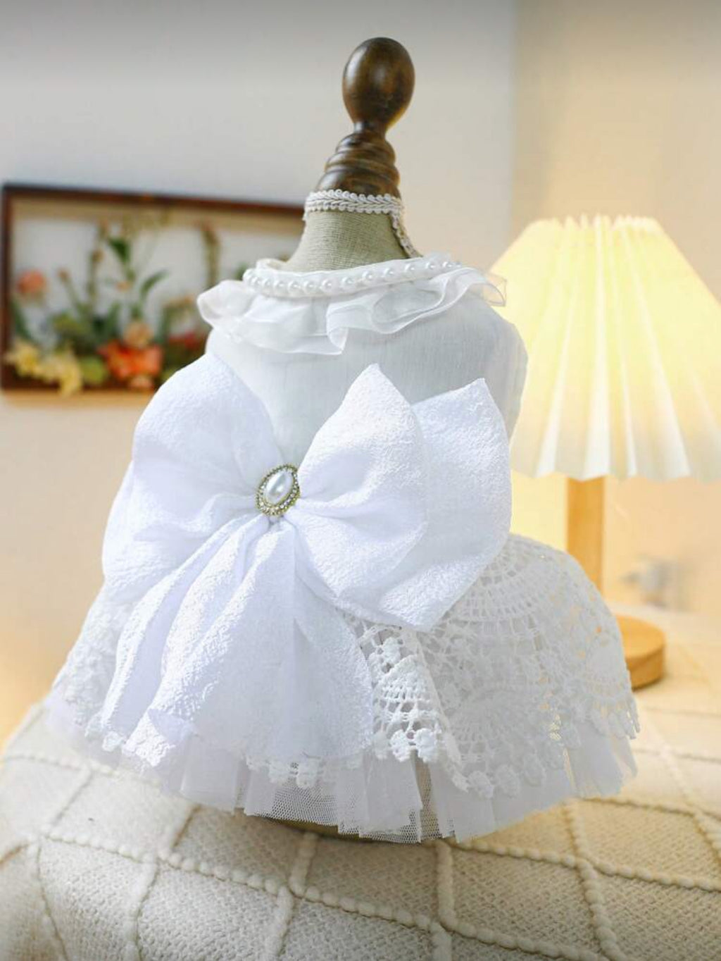 Robe Mariage Chat et Chien