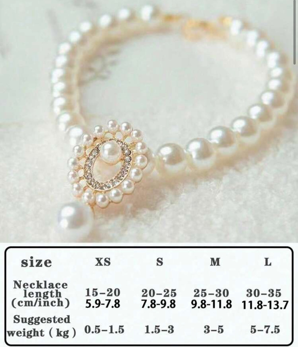 Collier pour Chat et Chien