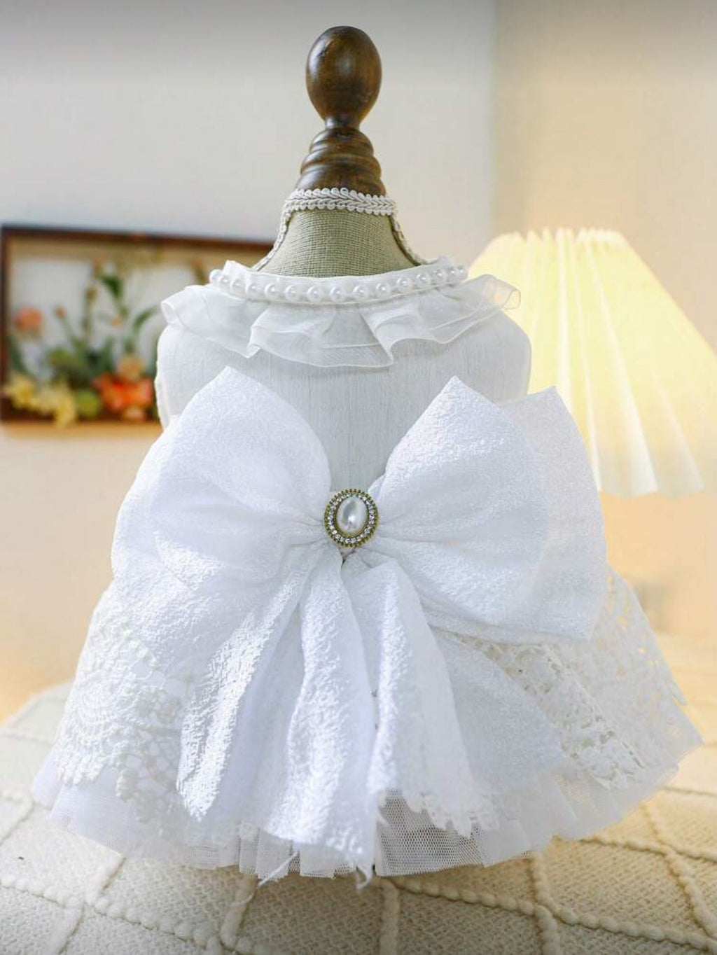 Robe Mariage Chat et Chien