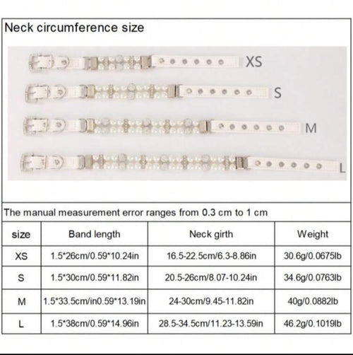 Collier pour chat et Chien