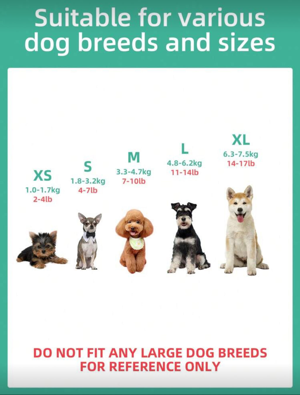 Robe Mariage Chat et Chien