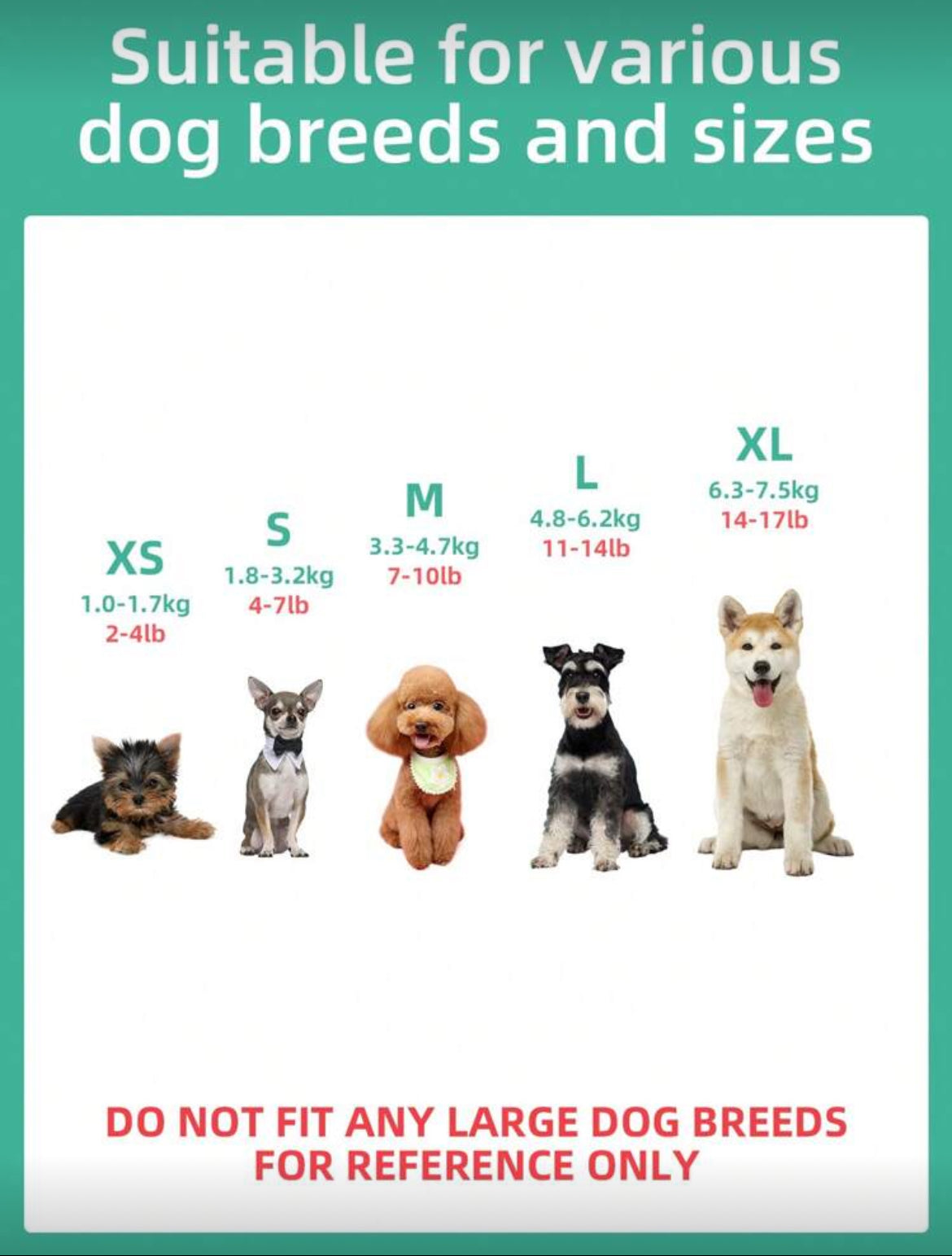 Robe Mariage Chat et Chien